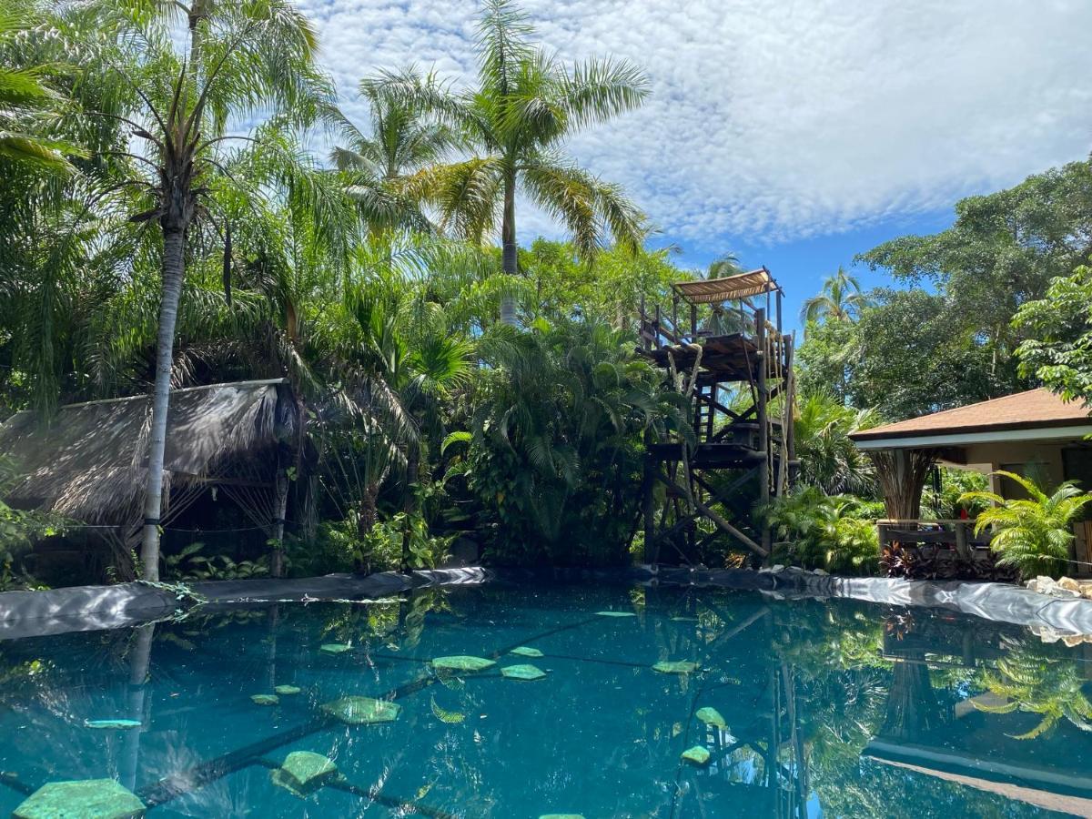 Jardin Secreto Centro Holistico Villa Acapulco Buitenkant foto