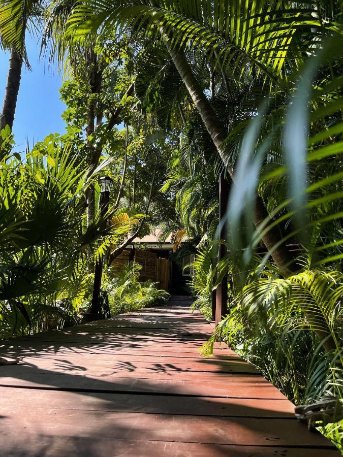 Jardin Secreto Centro Holistico Villa Acapulco Buitenkant foto