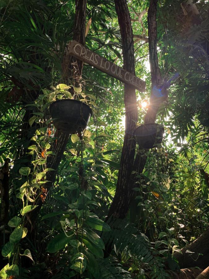 Jardin Secreto Centro Holistico Villa Acapulco Buitenkant foto