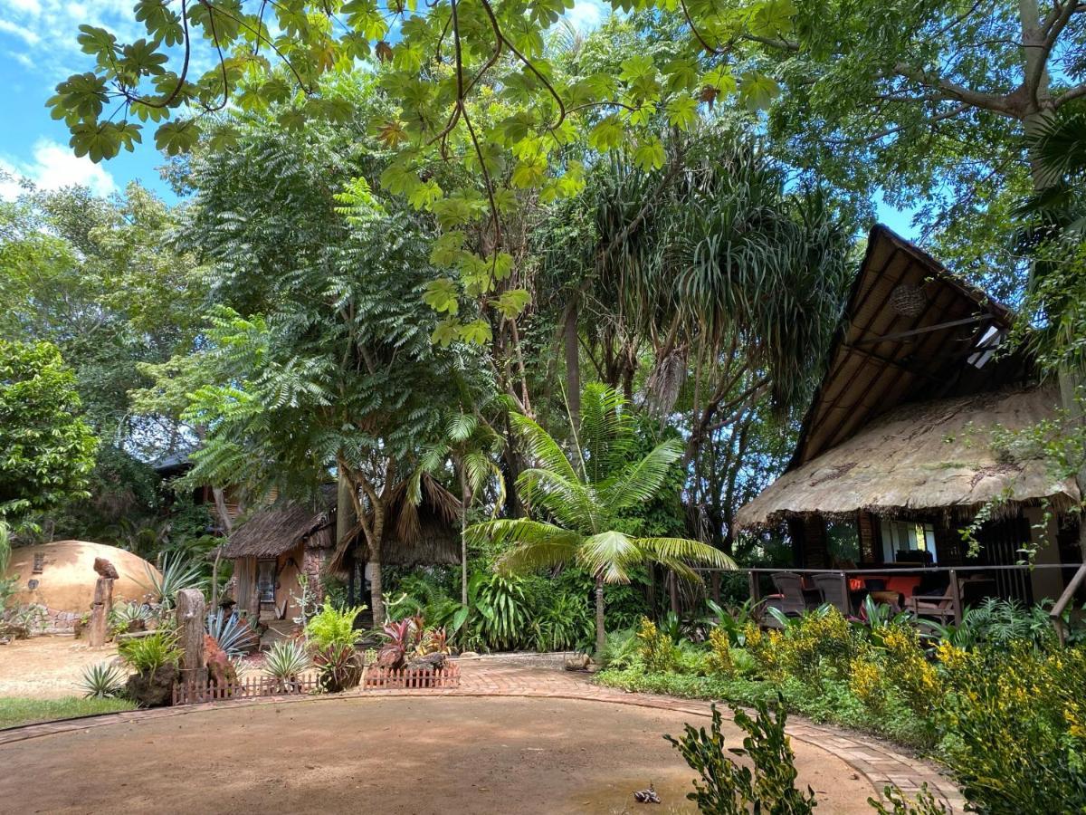 Jardin Secreto Centro Holistico Villa Acapulco Buitenkant foto