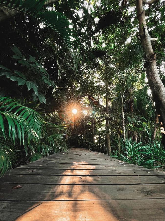 Jardin Secreto Centro Holistico Villa Acapulco Buitenkant foto