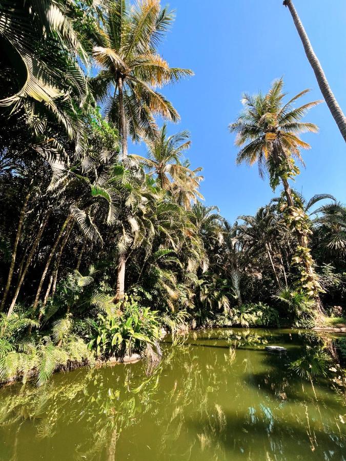 Jardin Secreto Centro Holistico Villa Acapulco Buitenkant foto