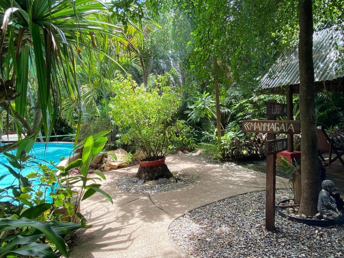 Jardin Secreto Centro Holistico Villa Acapulco Buitenkant foto