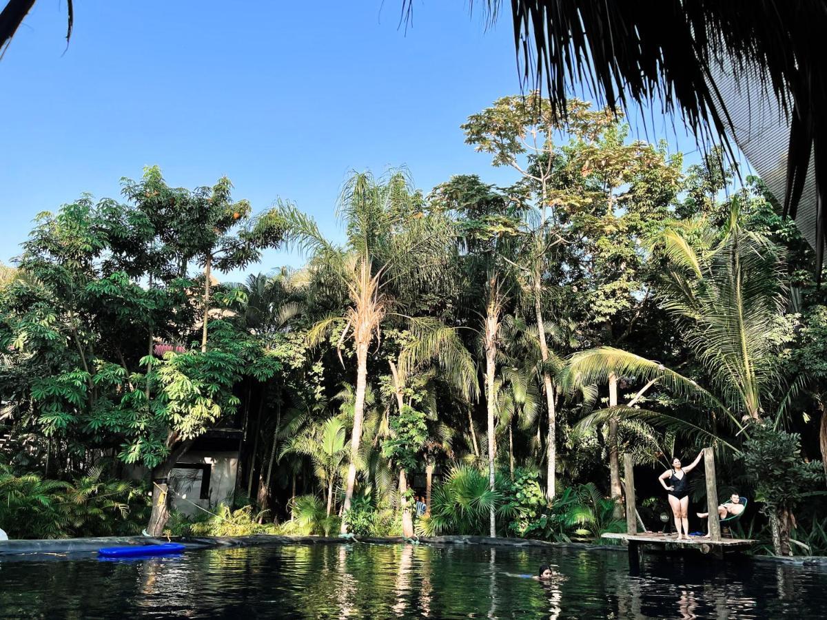 Jardin Secreto Centro Holistico Villa Acapulco Buitenkant foto