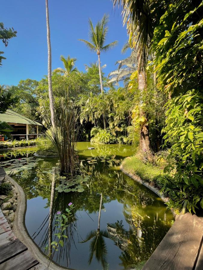 Jardin Secreto Centro Holistico Villa Acapulco Buitenkant foto
