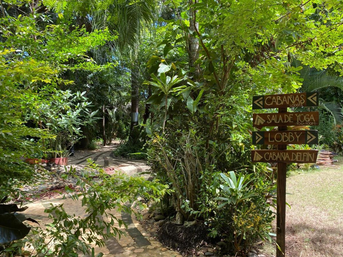 Jardin Secreto Centro Holistico Villa Acapulco Buitenkant foto