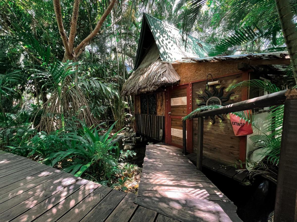 Jardin Secreto Centro Holistico Villa Acapulco Buitenkant foto