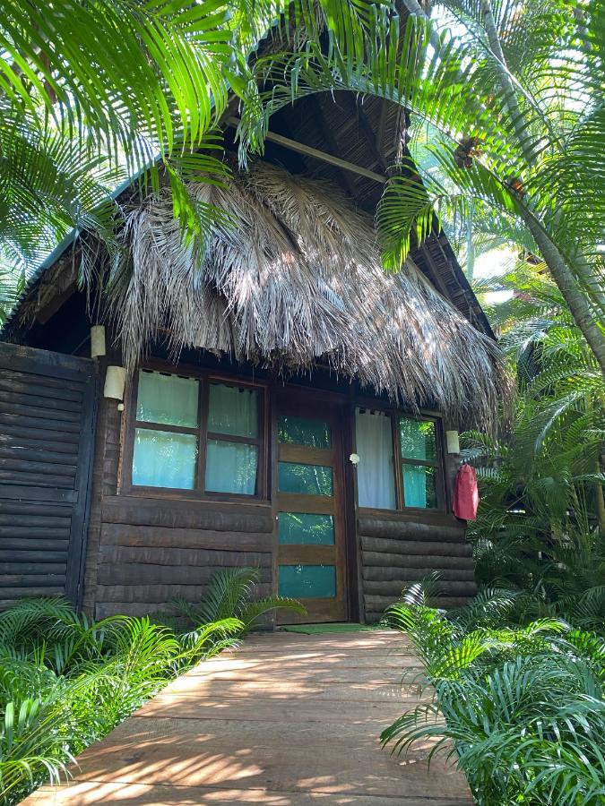 Jardin Secreto Centro Holistico Villa Acapulco Buitenkant foto